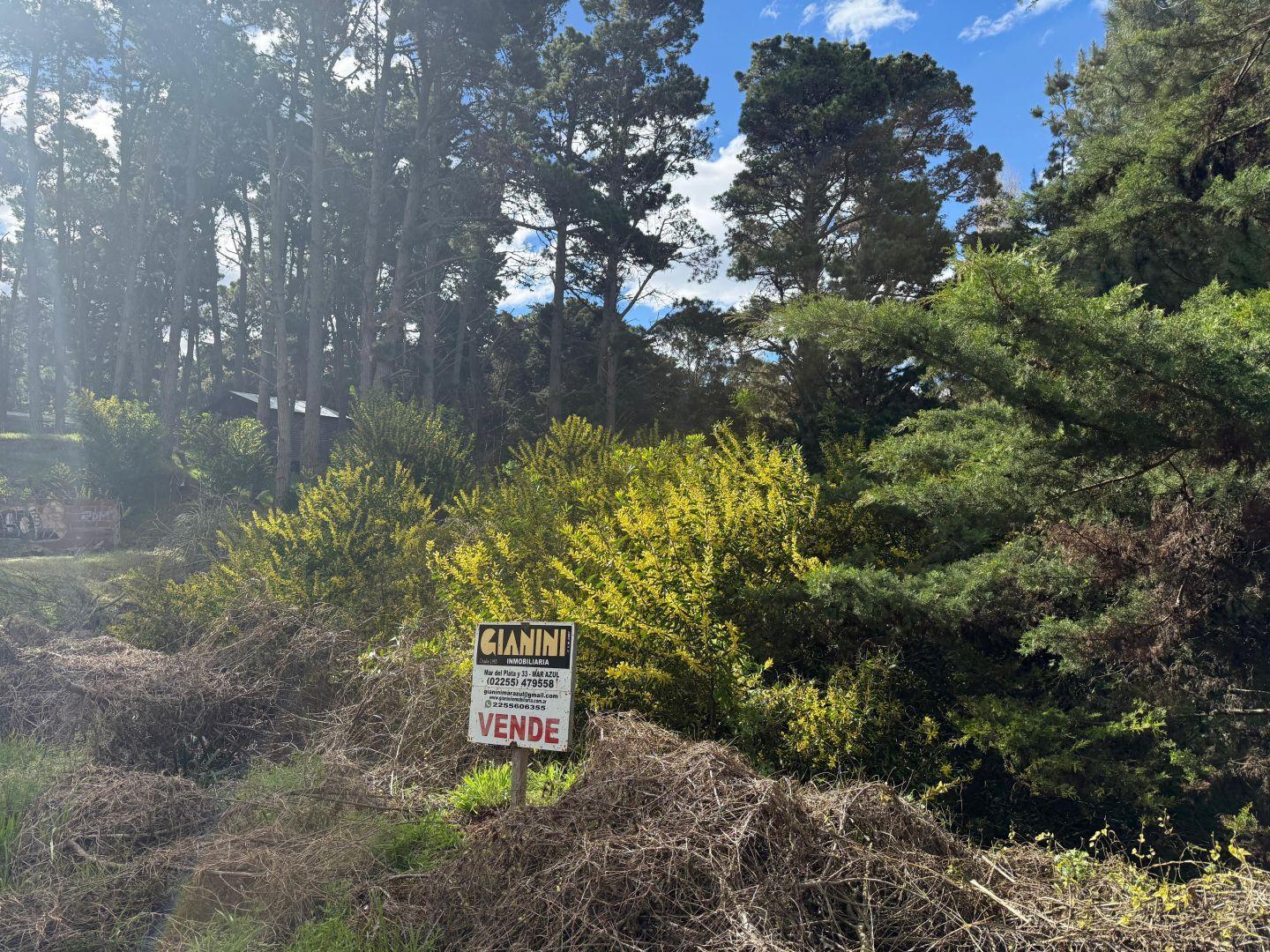 Foto de Dos lotes unifamiliares en venta Mar Azul, imagen 4