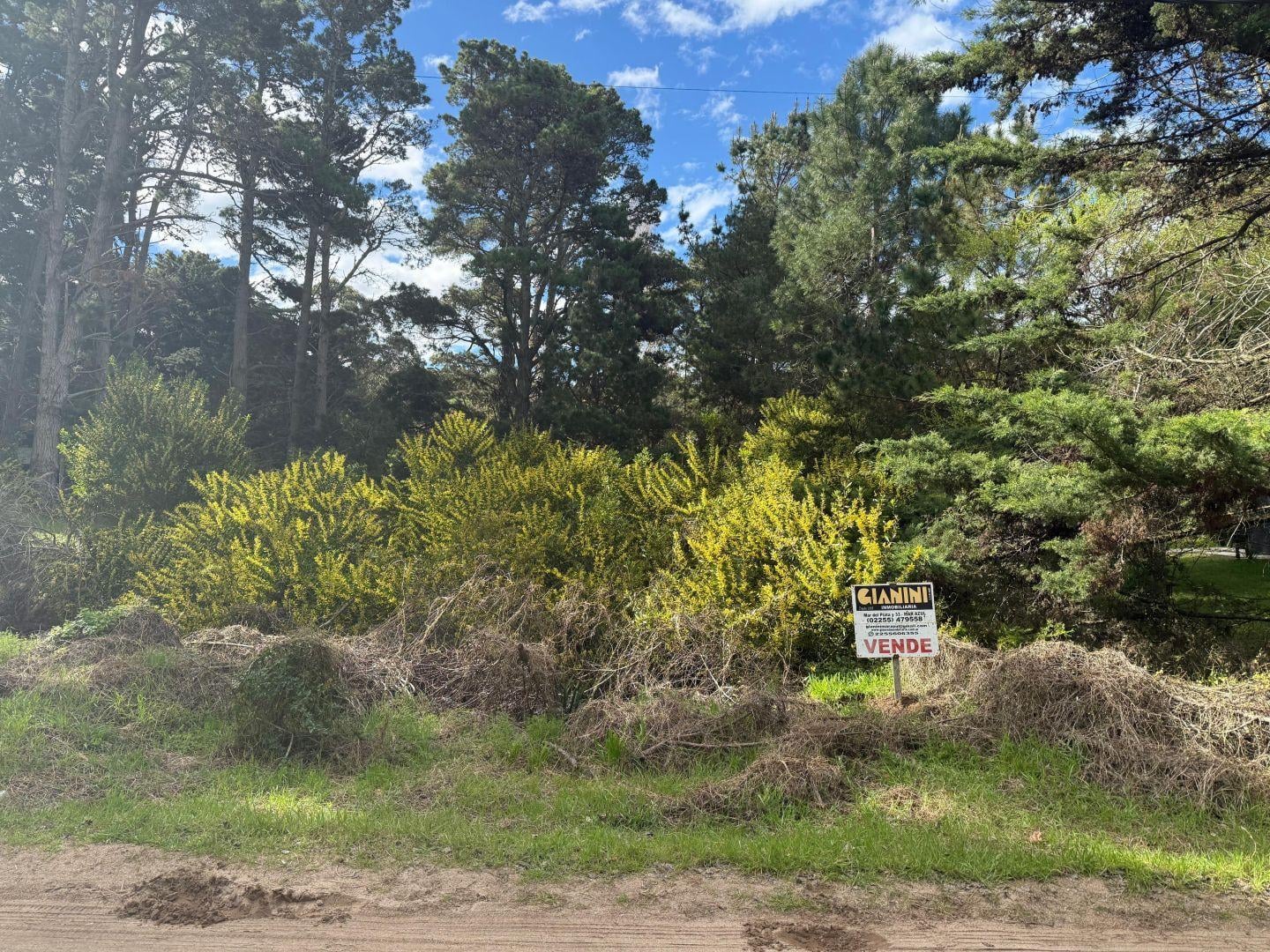 Foto de Dos lotes unifamiliares en venta Mar Azul, imagen 2