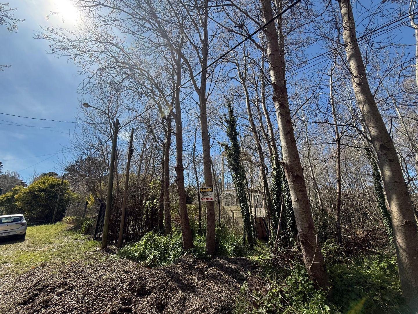 Foto de Lote unifamiliar en venta Mar Azul, imagen 1