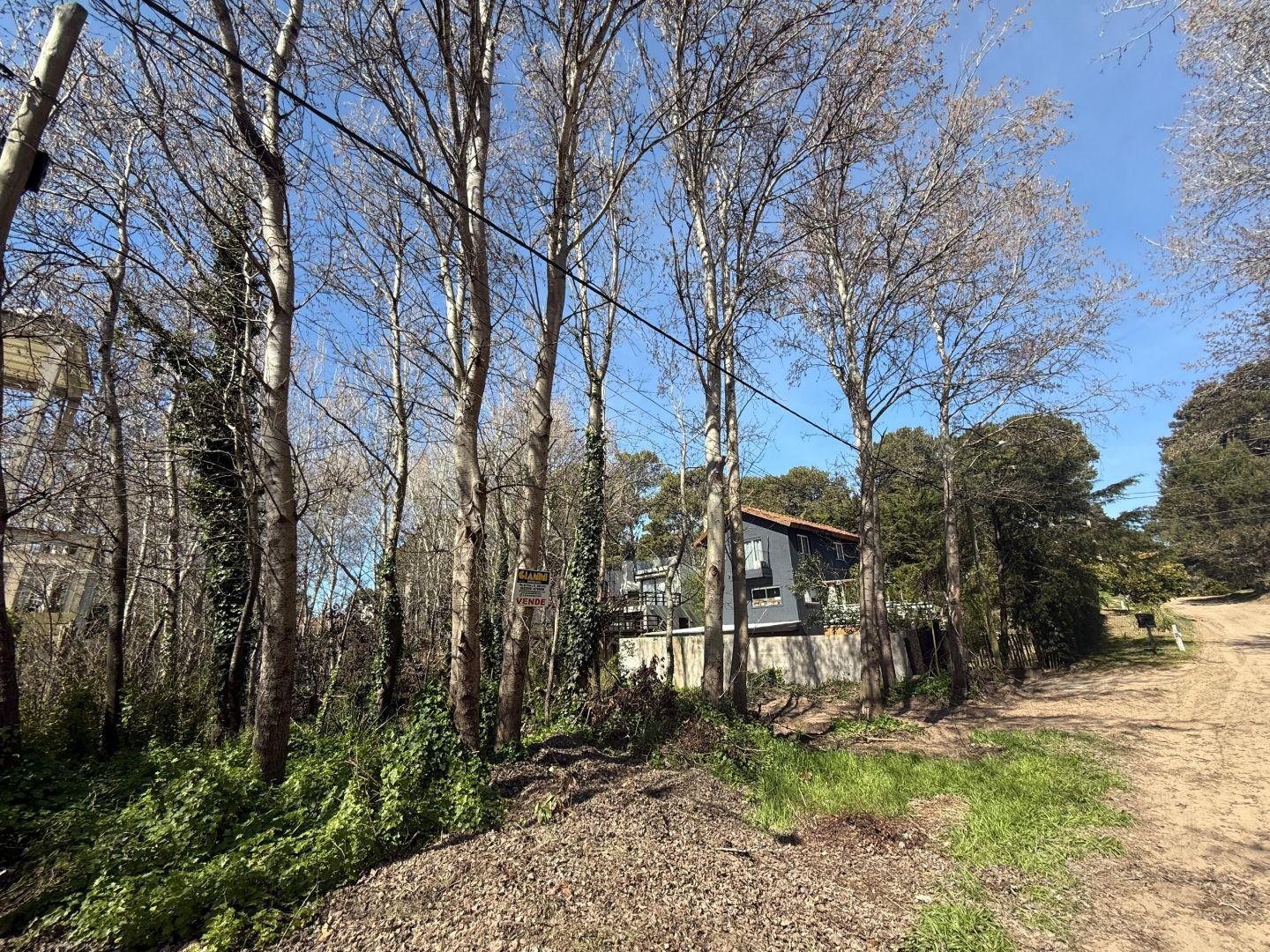 Foto de Lote unifamiliar en venta Mar Azul, imagen 3