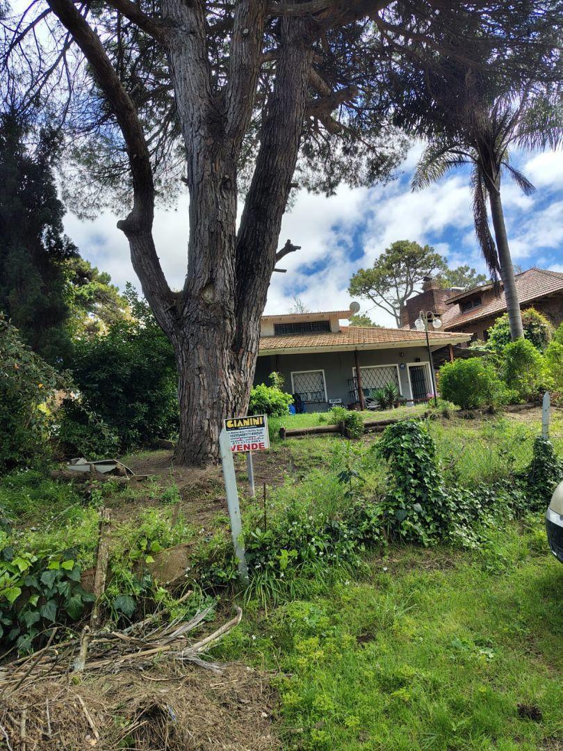 Foto de Venta casa 3 amb 330m2 lote y 85m2 cub Centrico gas natural, imagen 1
