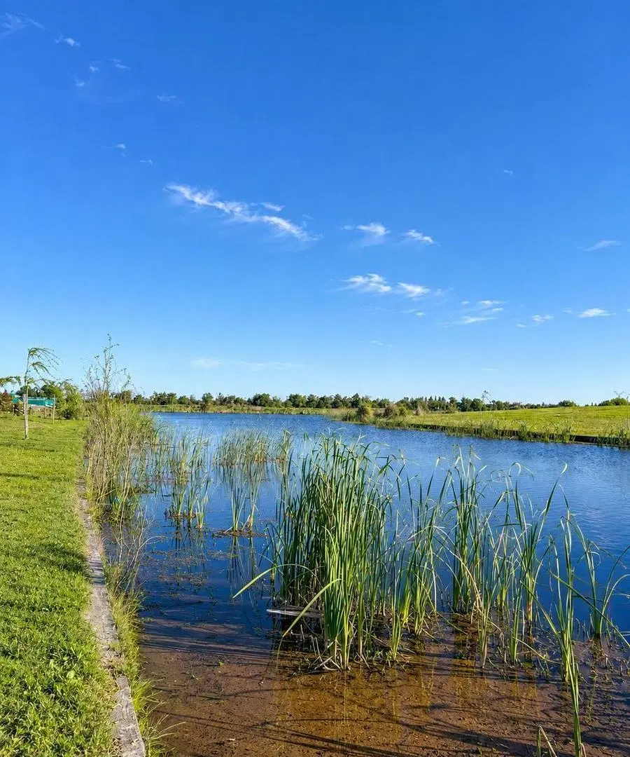 Exclusivo lote a la laguna de 905,88 m² en El Naudir – Aguas Privadas | Etapa III 4