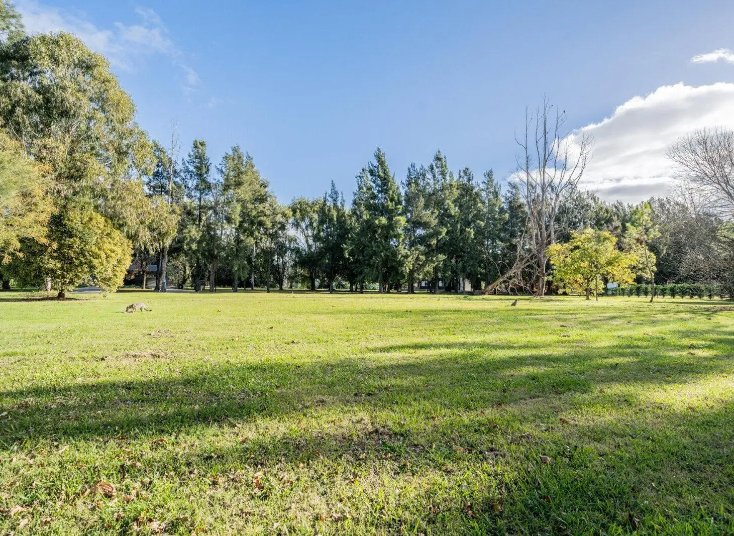Lote 2.526m2 - Miralagos I 5