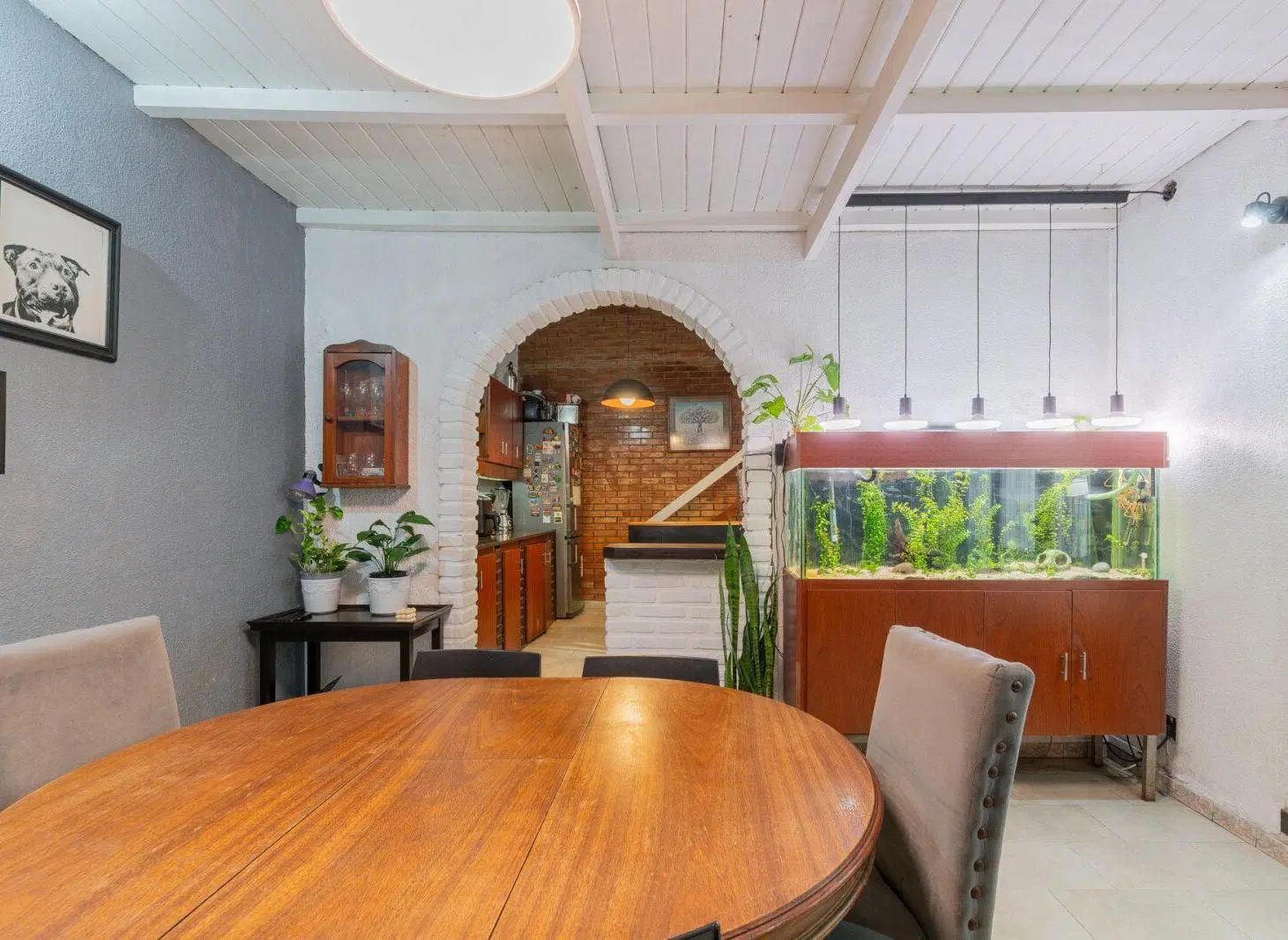 Casa en venta en Boedo. Lote propio. 4 ambientes más estudio. Quincho y terraza. Mucha luz 4