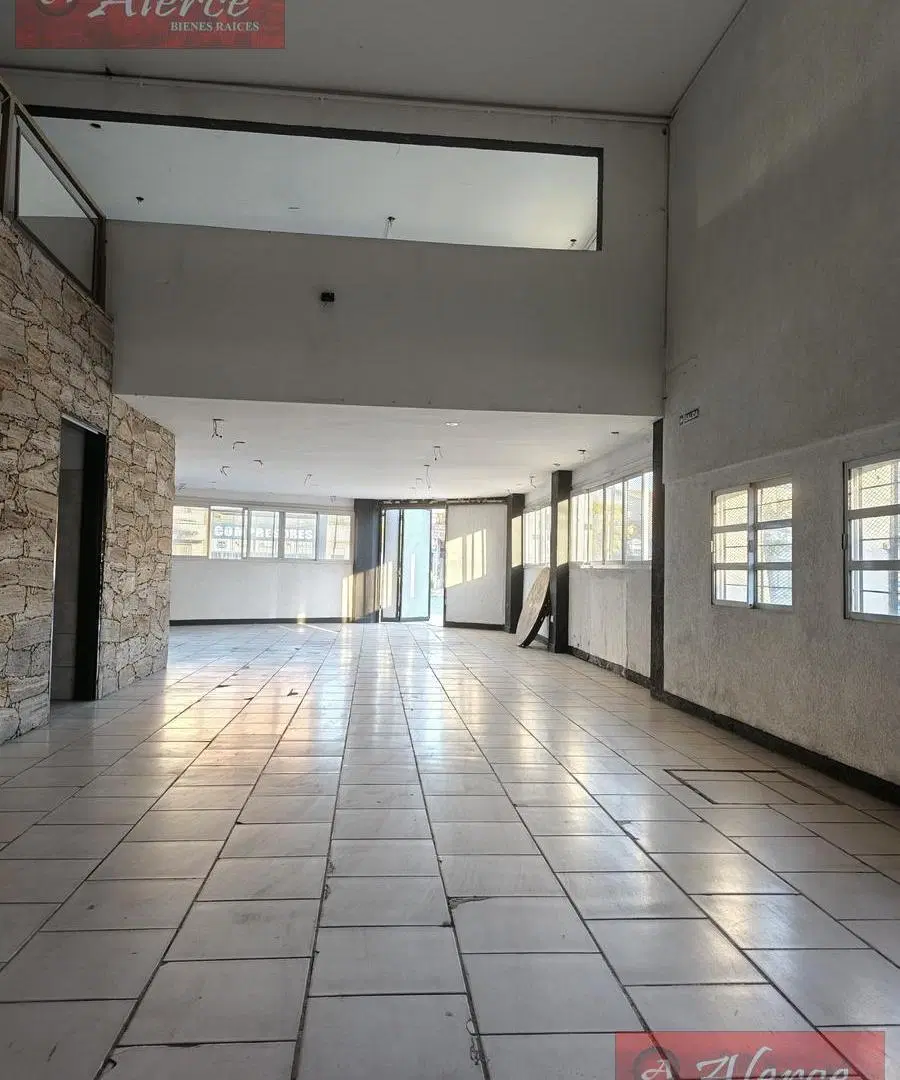 LOCAL 250M2 H. YRIGOYEN Y GALICIA 4