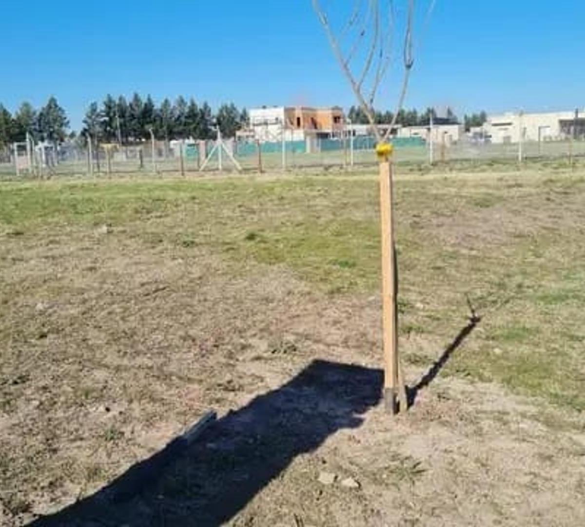 Venta en San Simon, Countries y Barrios Cerrados en Ezeiza