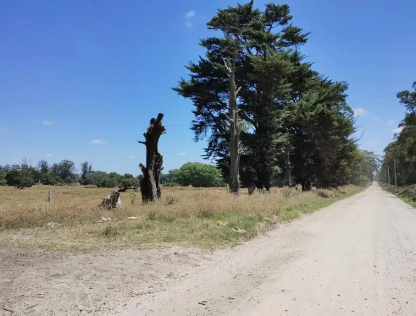 OPORTUNIDAD, HECTAREA EN MAR DEL PLATA 2