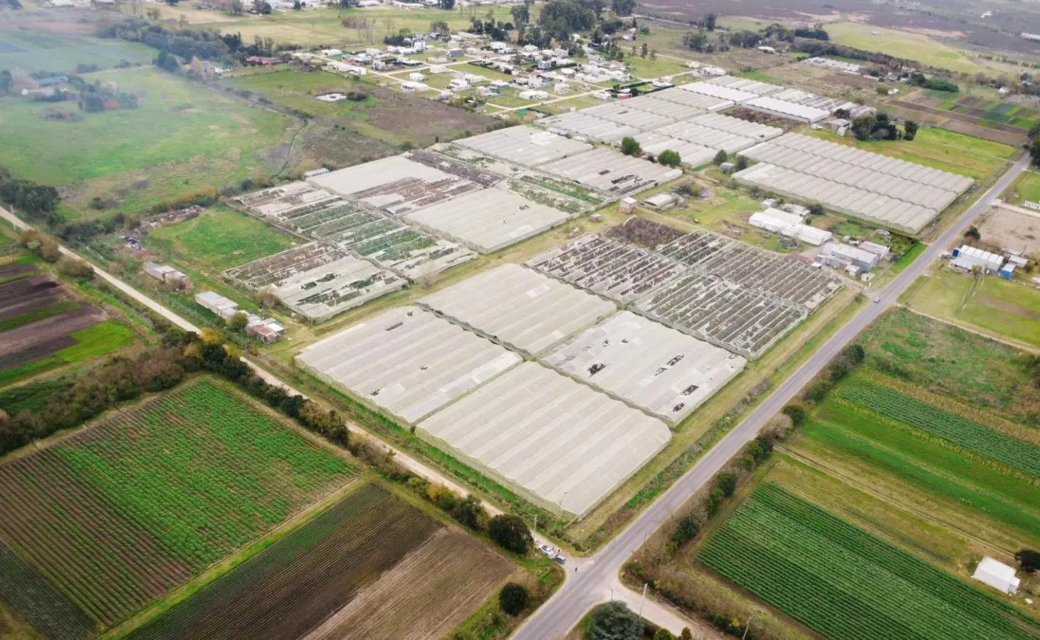 Campo en Arana 5