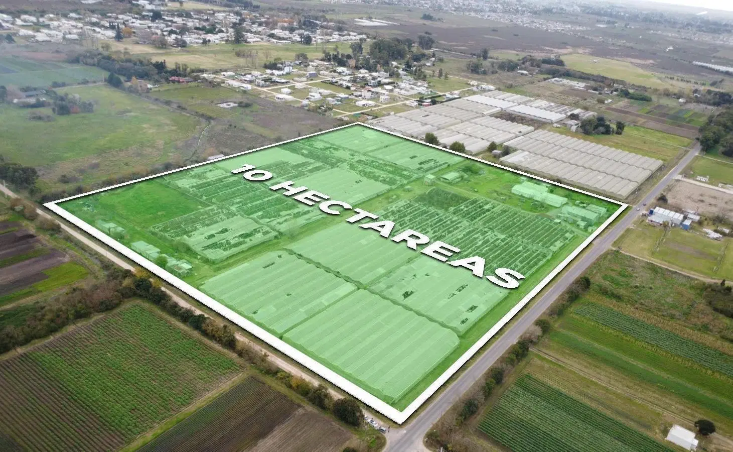Campo en Arana 3