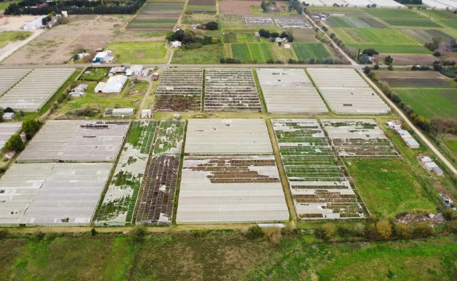 Campo en Arana 4