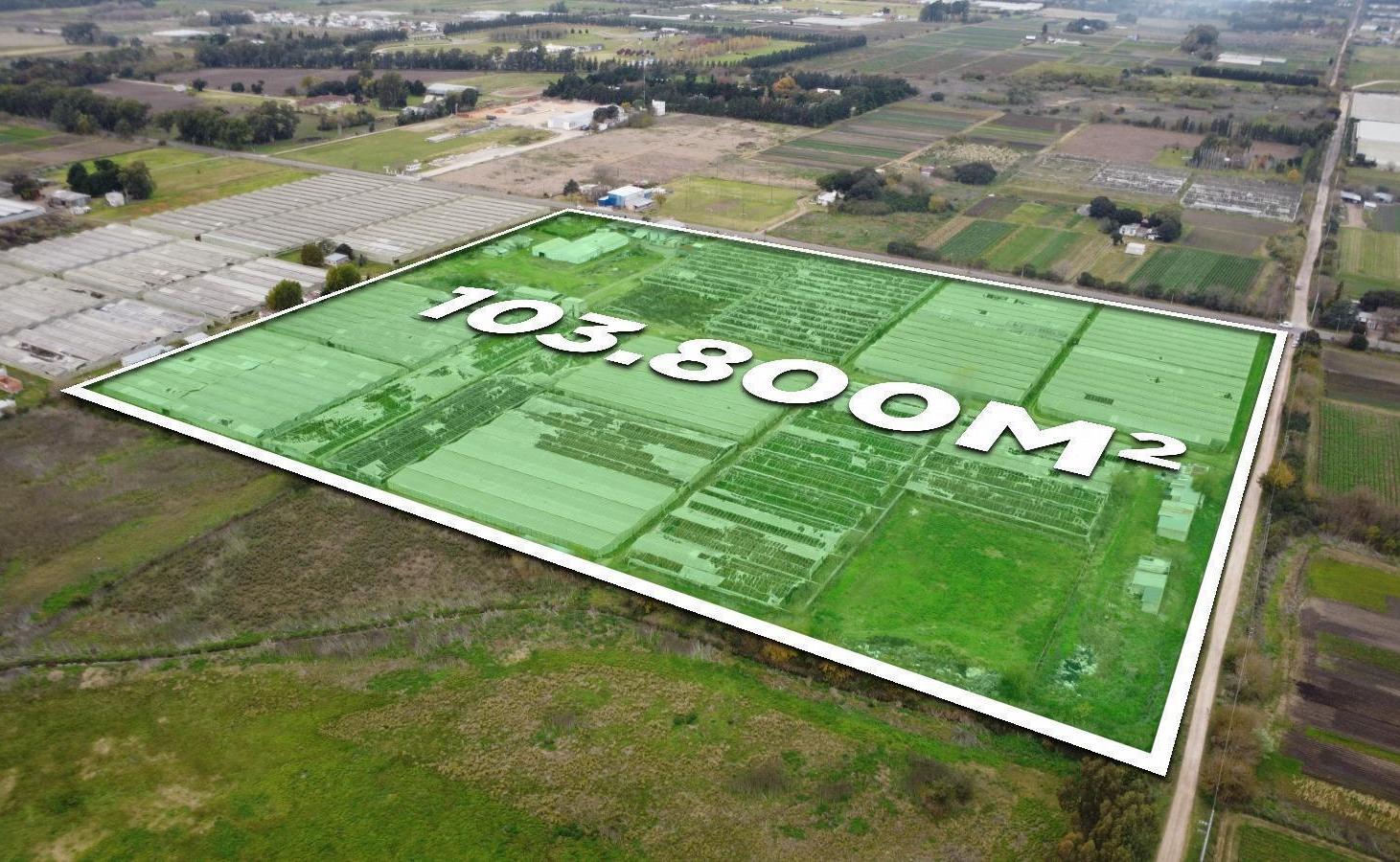 Foto de Campo en Arana, imagen 2
