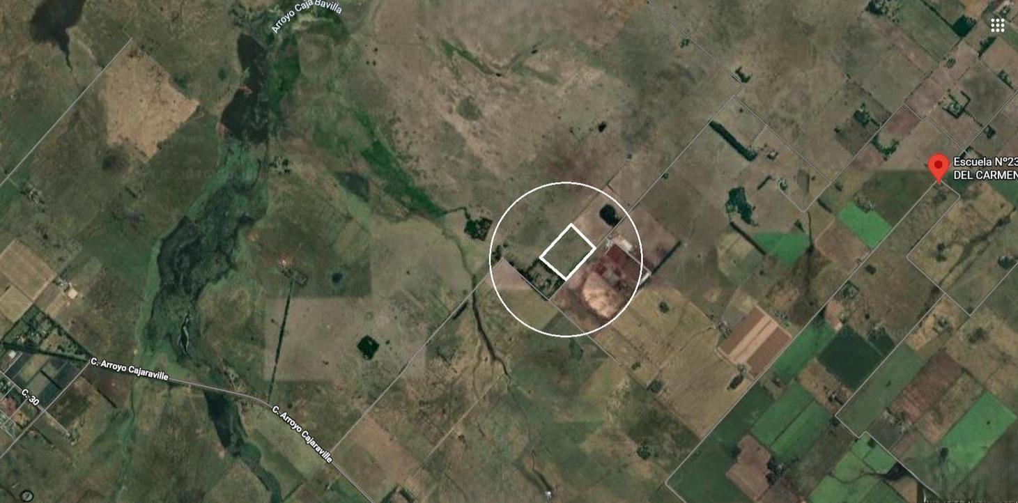 Foto de Campo - Hectareas en Bavio, imagen 1