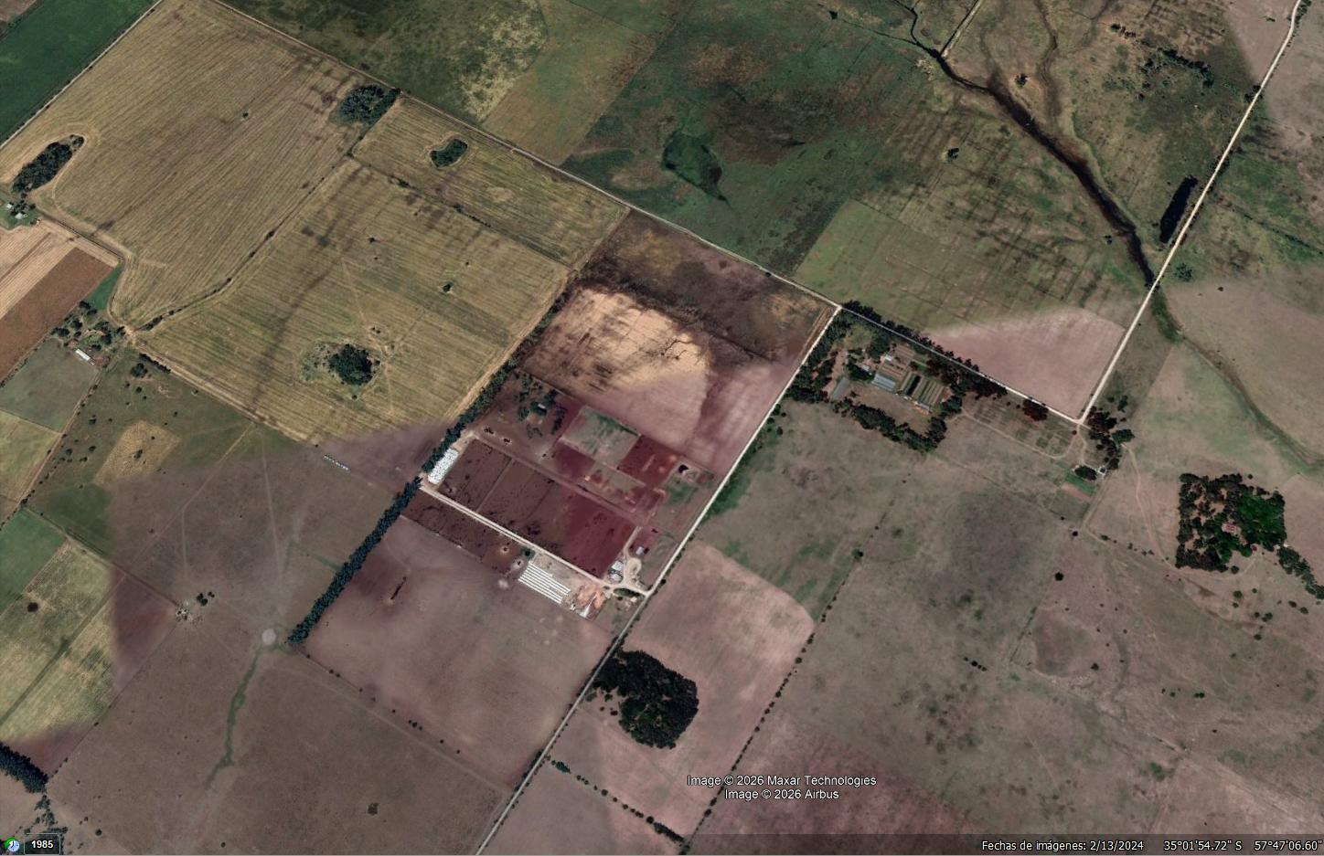 Foto de Campo - Hectareas en Bavio, imagen 4