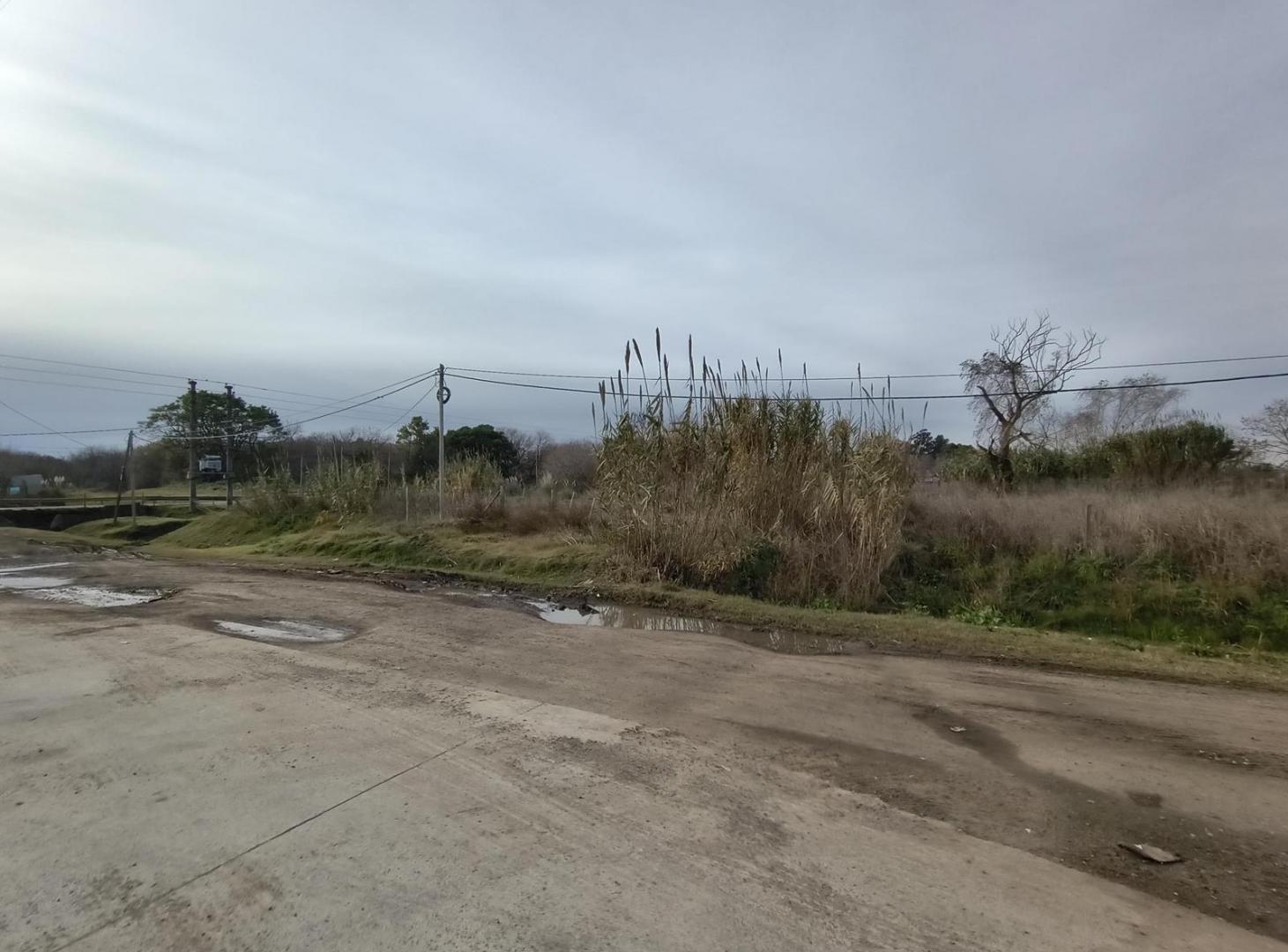 Foto de Terreno en venta en Arana, imagen 5