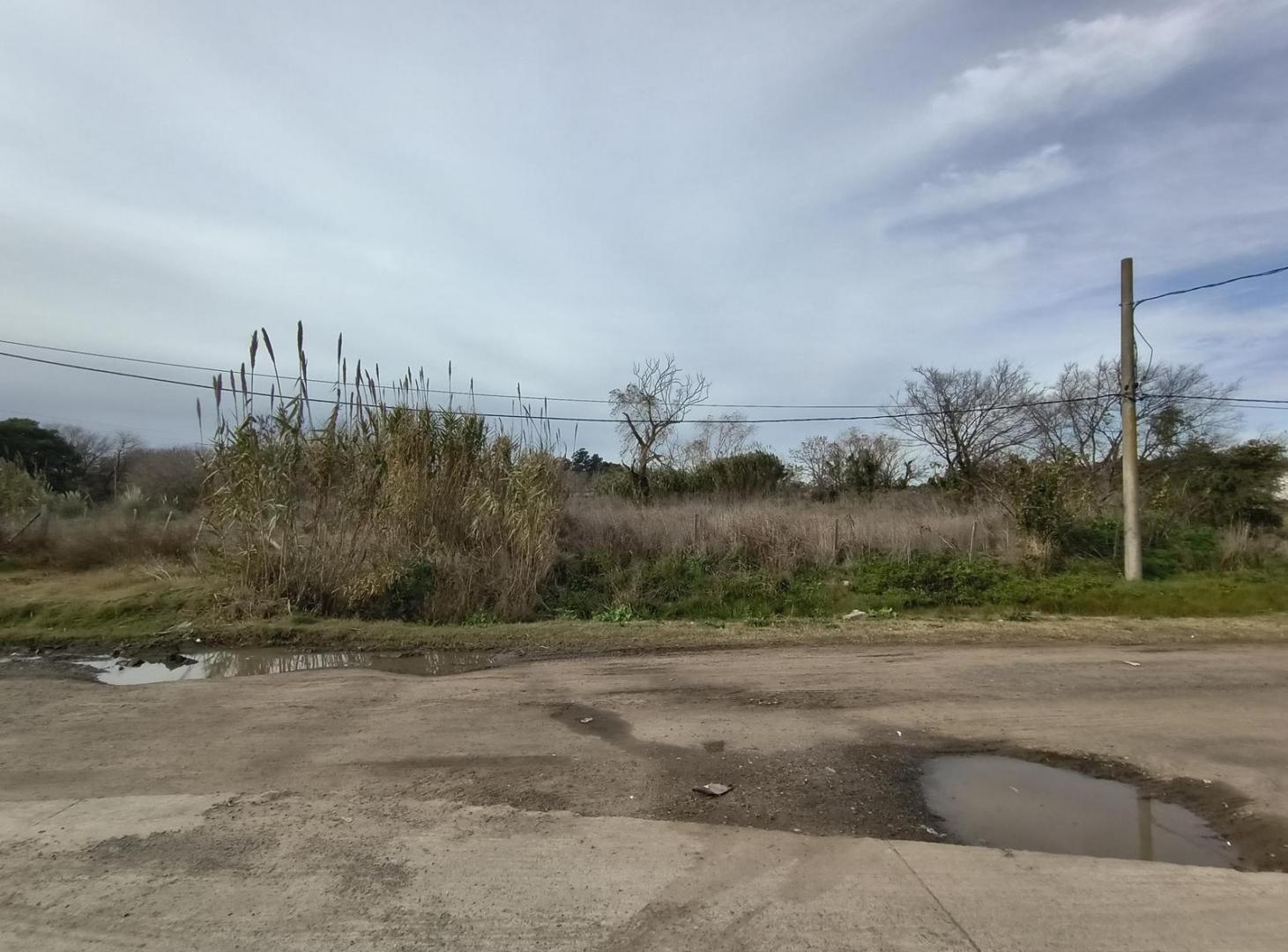 Foto de Terreno en venta en Arana, imagen 3