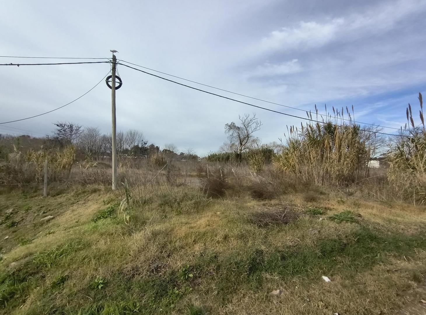 Foto de Terreno en venta en Arana, imagen 2