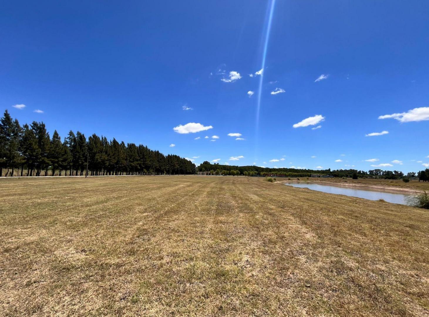 Foto de Terreno en Campos de Roca II, imagen 3