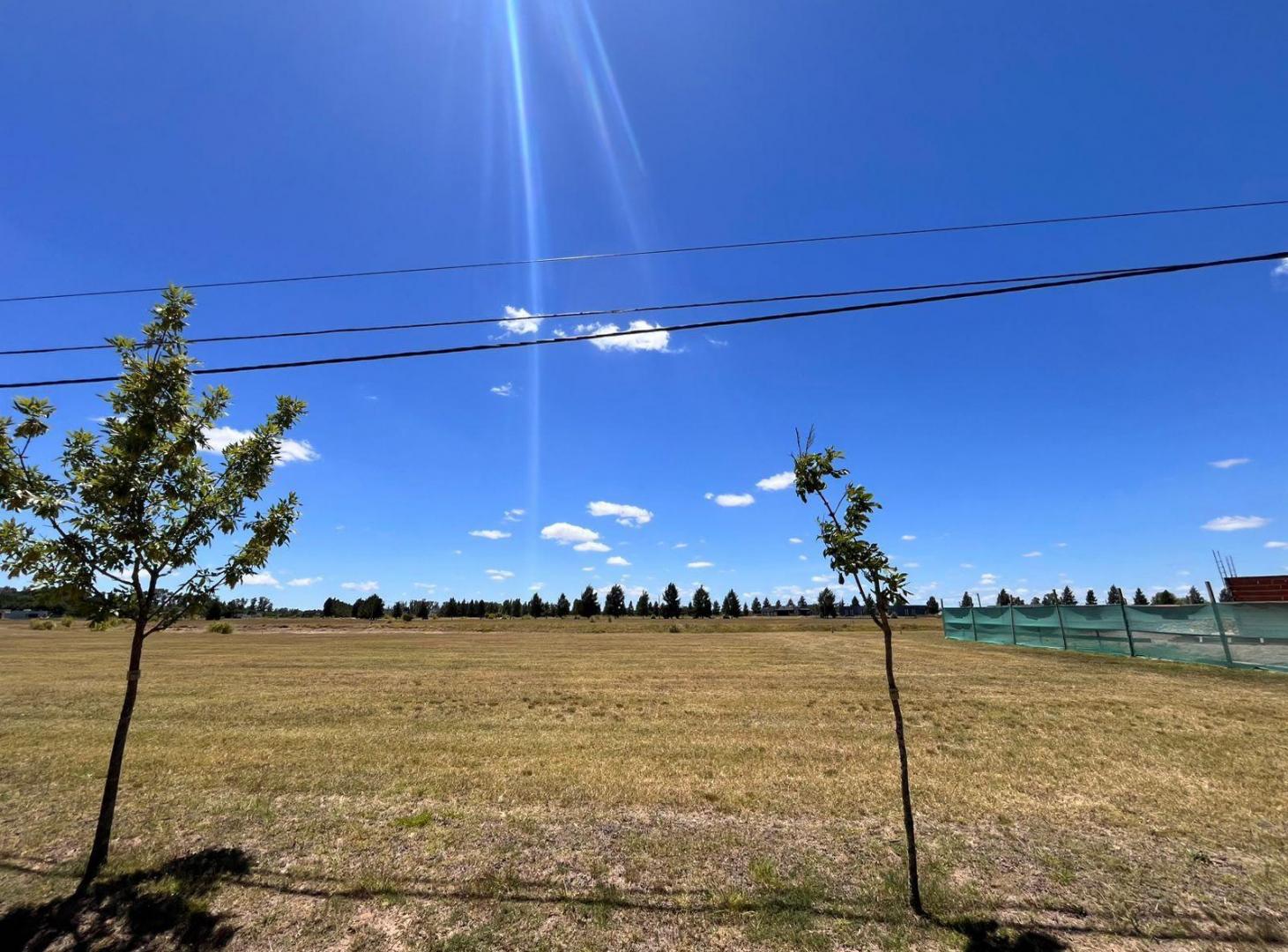 Foto de Terreno en Campos de Roca II, imagen 5