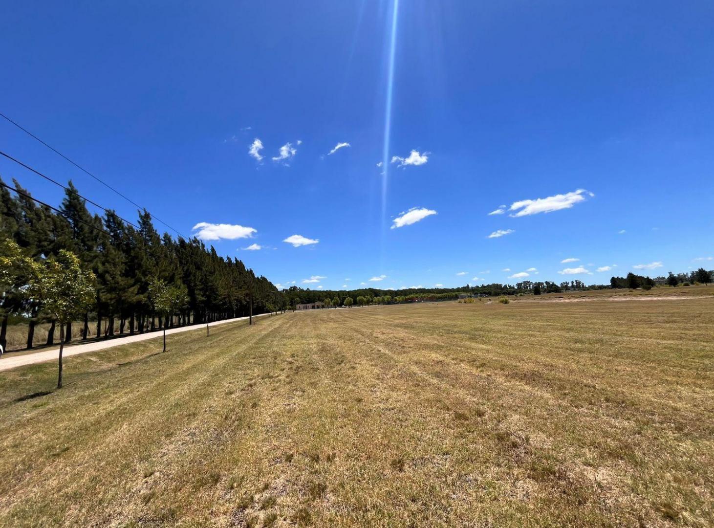 Foto de Terreno en Campos de Roca II, imagen 4