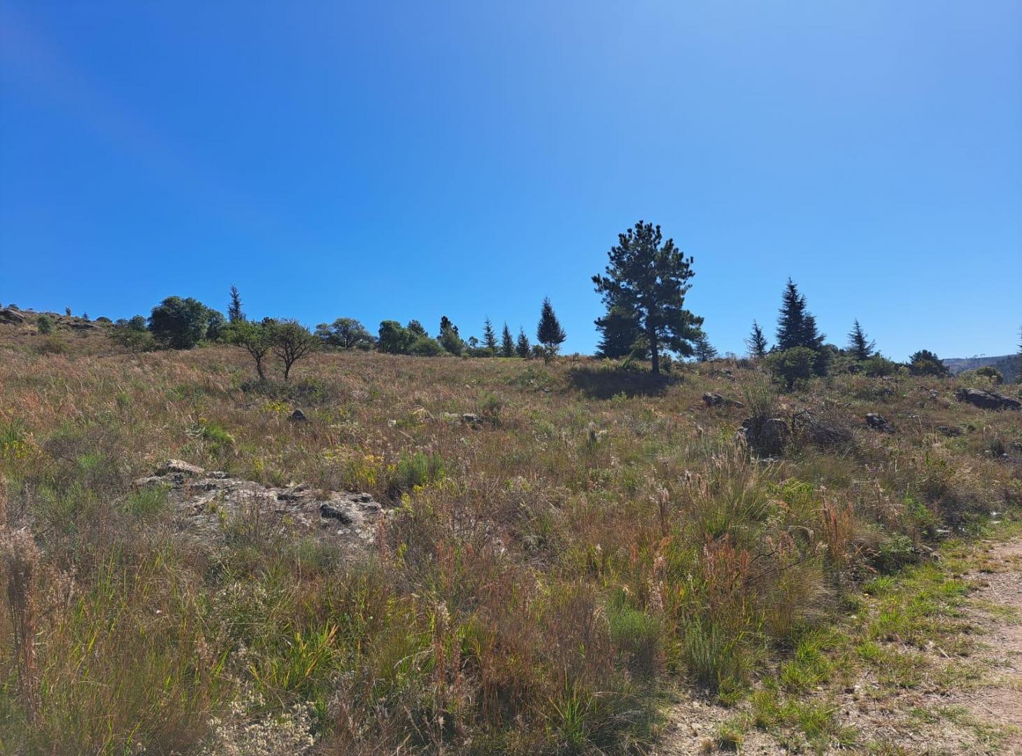 Foto de terreno en venta en promoción EL DURAZNO YACANTO CALAMUCHITA, imagen 1