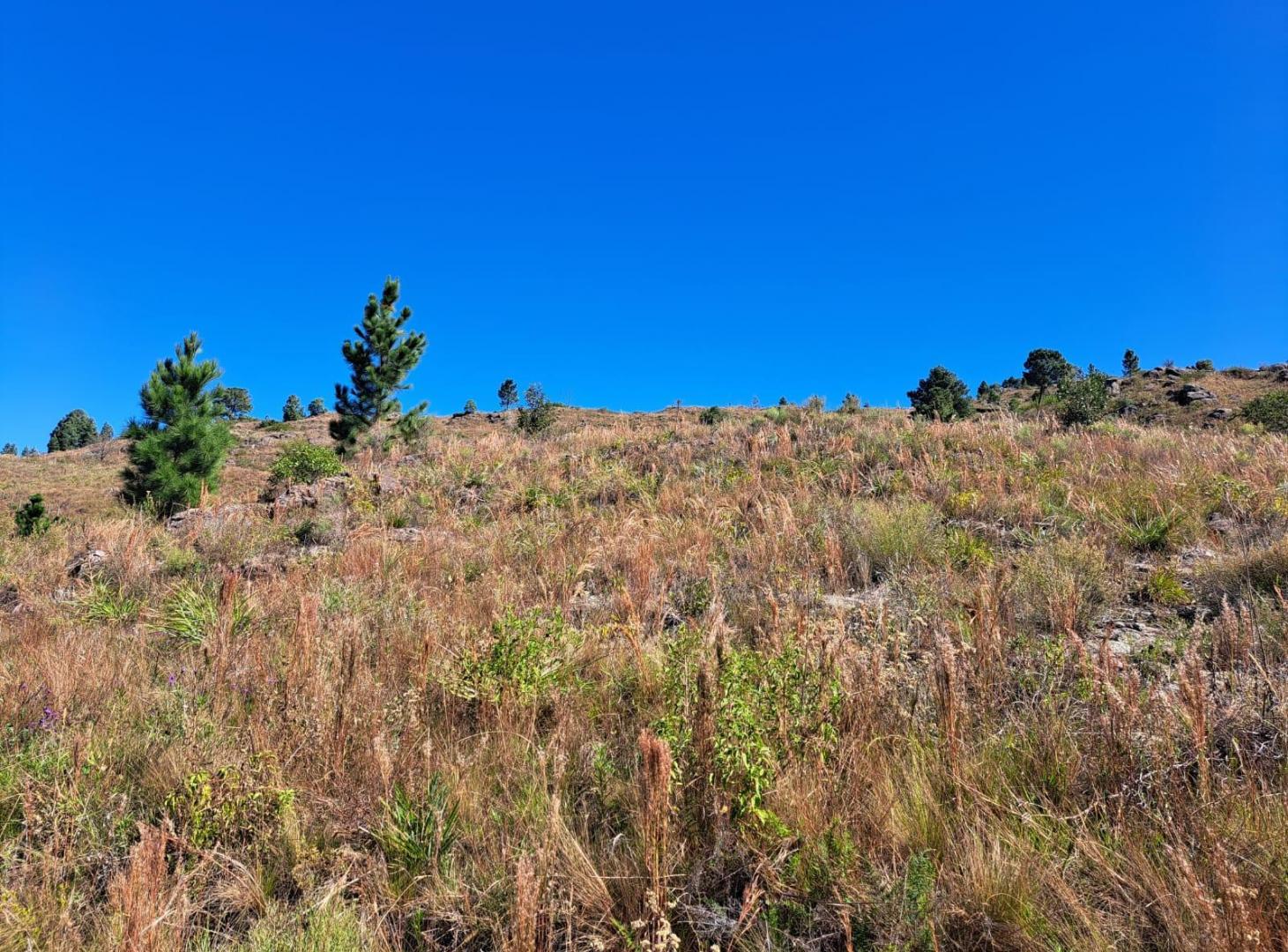 Foto de terreno en venta en promoción EL DURAZNO YACANTO CALAMUCHITA, imagen 4