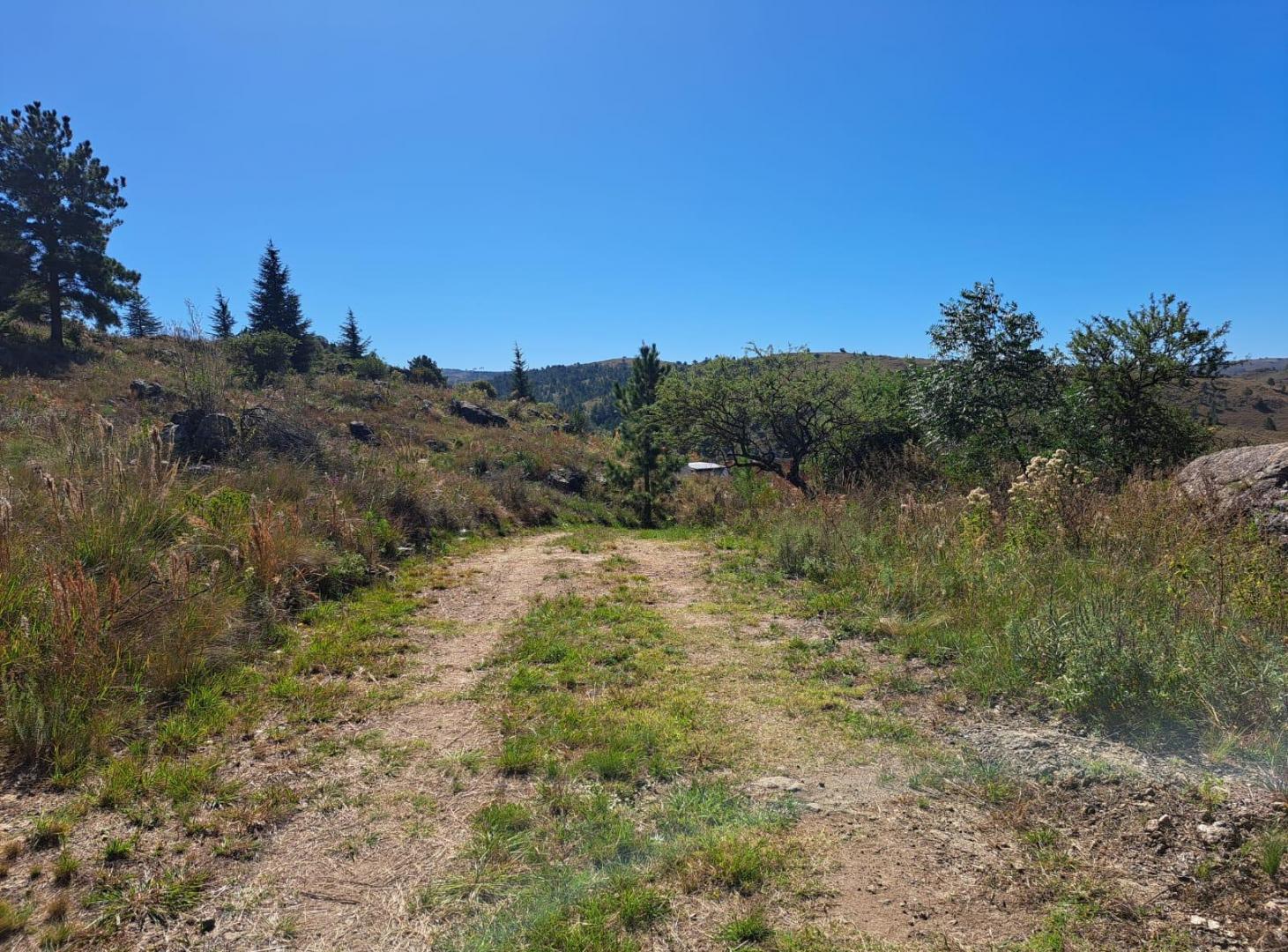 Foto de terreno en venta en promoción EL DURAZNO YACANTO CALAMUCHITA, imagen 3