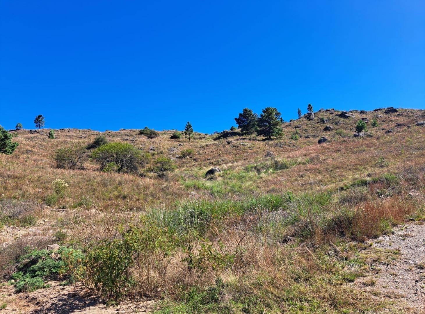 Foto de terreno en venta en promoción EL DURAZNO YACANTO CALAMUCHITA, imagen 5