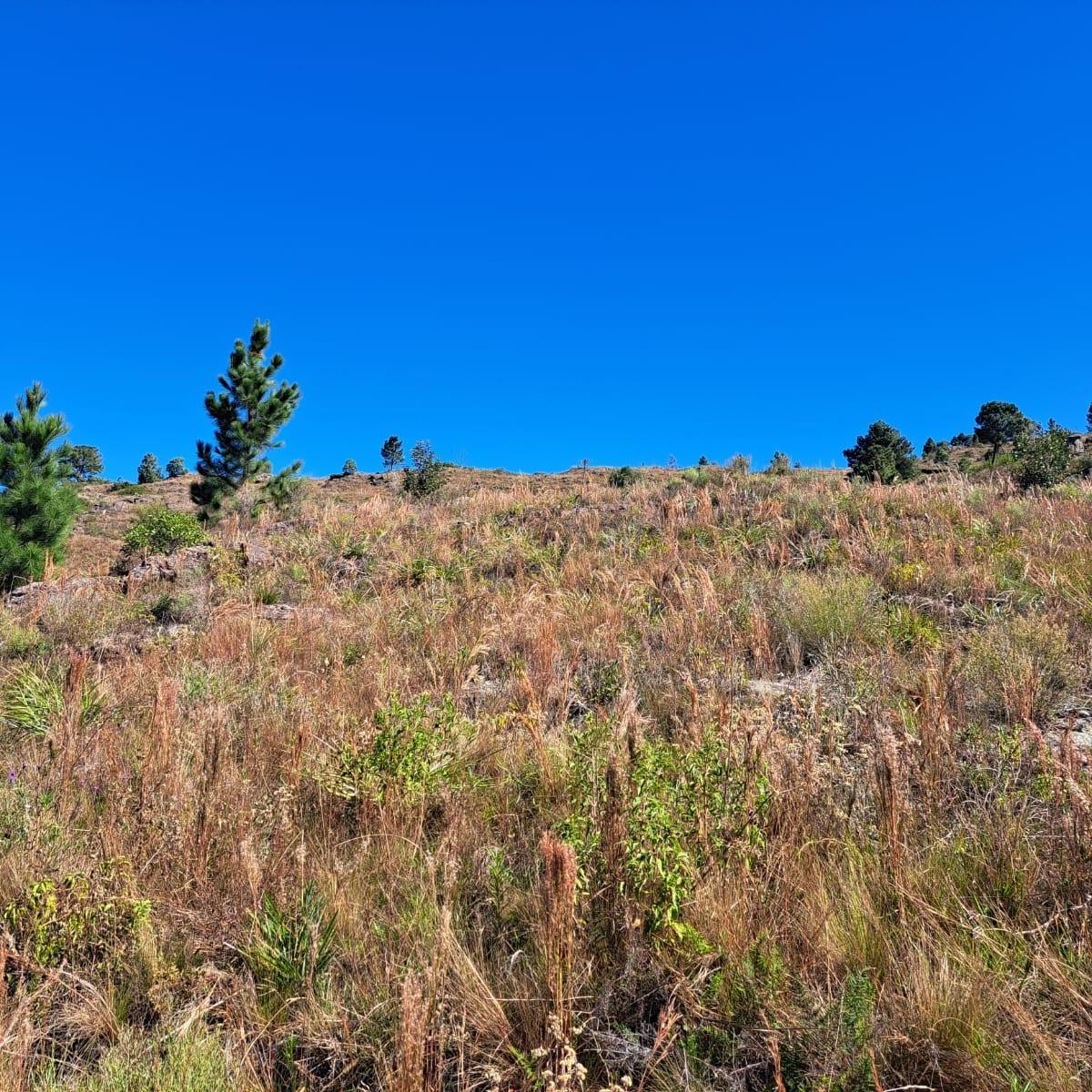 Foto de VENTA TERRENO EN EL DURAZNO YACANTO CON SALIDA AL RIO, imagen 1