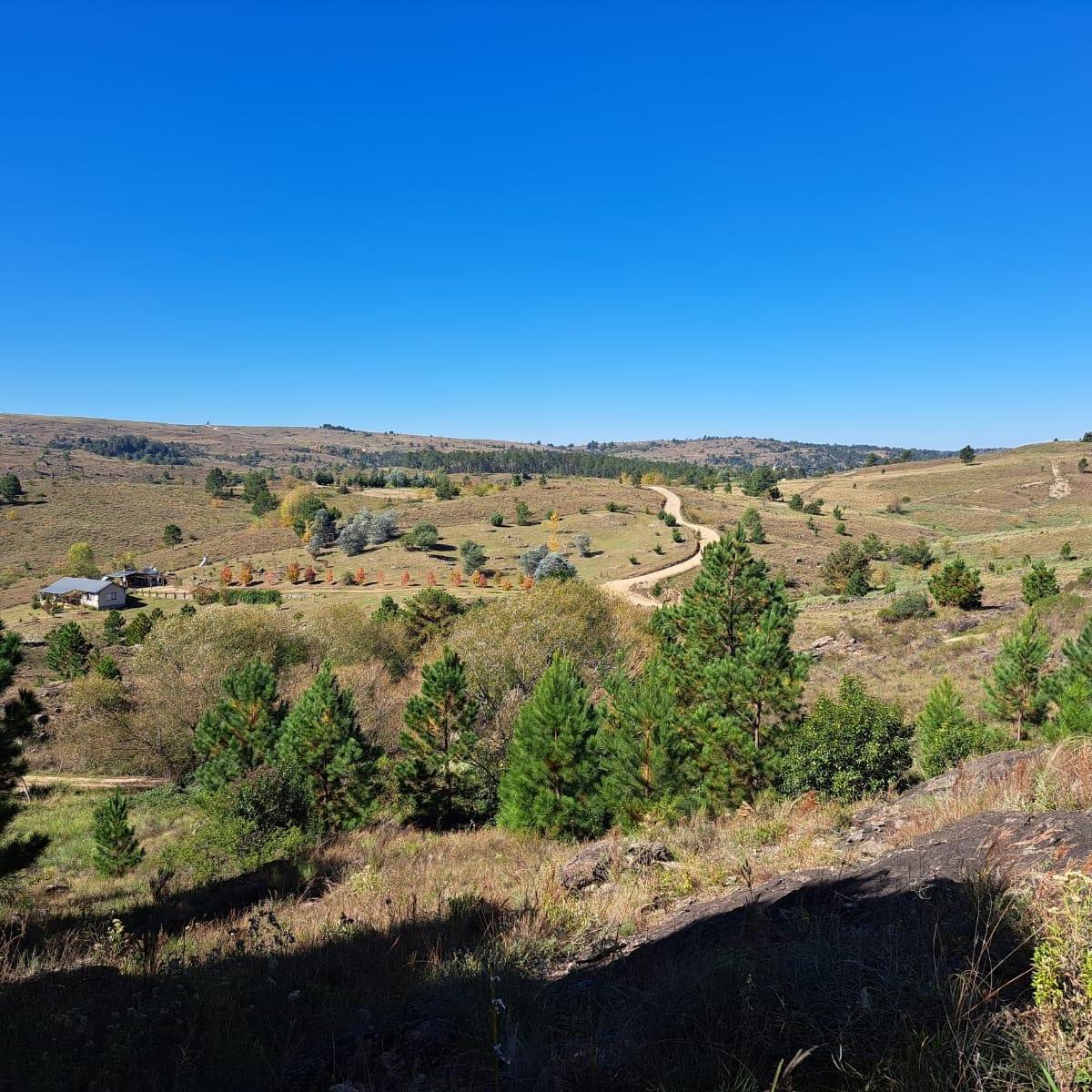 Foto de VENTA TERRENO EN EL DURAZNO YACANTO CON SALIDA AL RIO, imagen 3