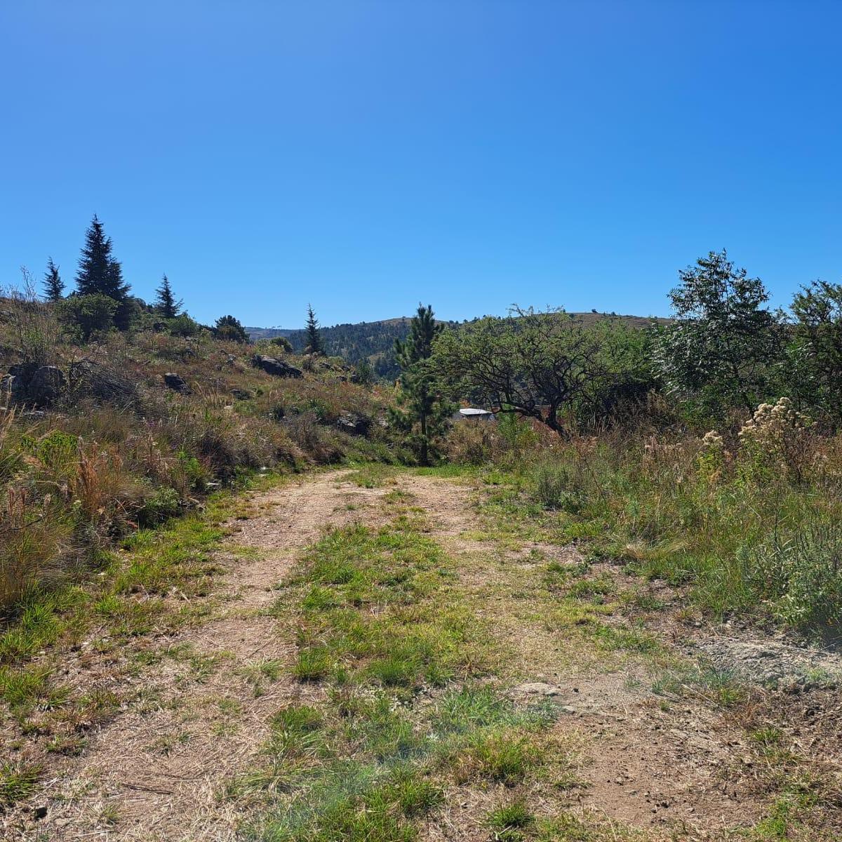 Foto de VENTA TERRENO EN EL DURAZNO YACANTO CON SALIDA AL RIO, imagen 5