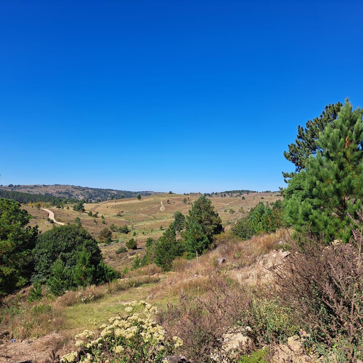 Foto de TERRENO EN VENTA YACANTO EL DURAZNO, imagen 5