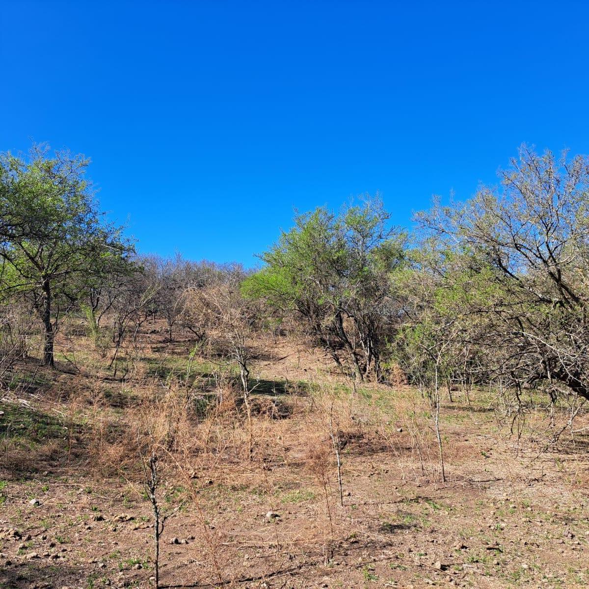 Terreno en Venta Unquillo 1