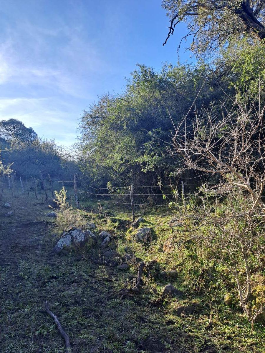 Foto de TERRENO EN VENTA - ASCOCHINGA, LA AGUADA, imagen 5