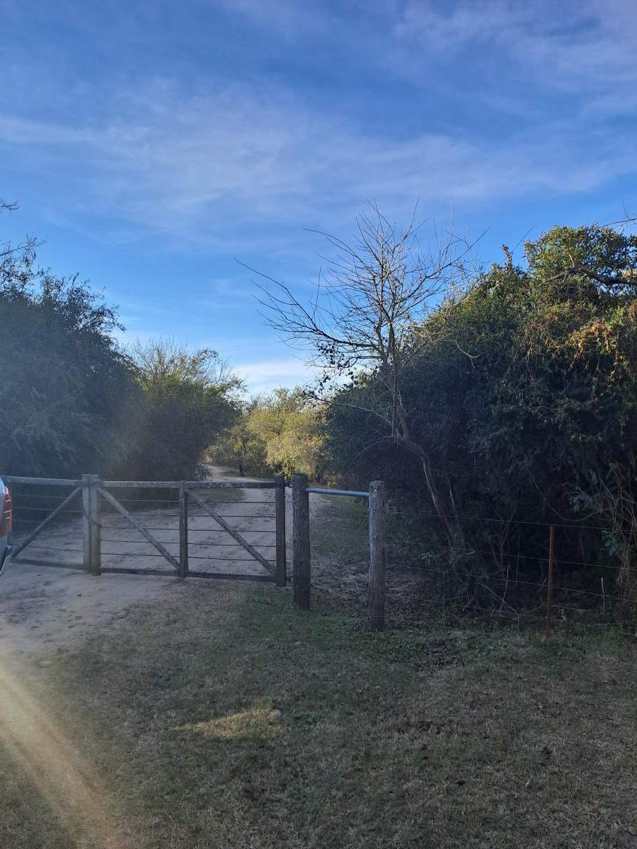 Foto de TERRENO EN VENTA - ASCOCHINGA, LA AGUADA, imagen 3