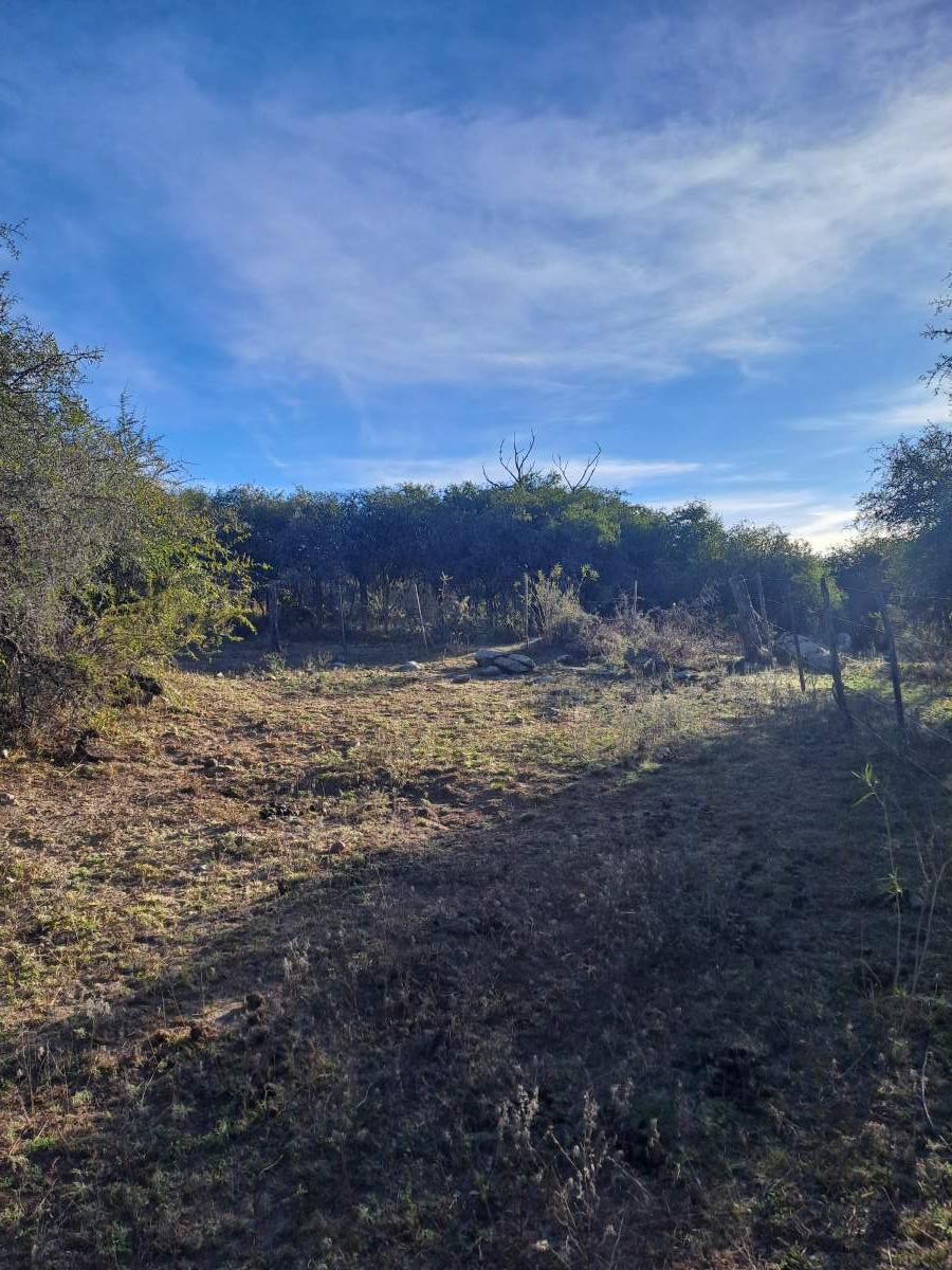 Foto de TERRENO EN VENTA - ASCOCHINGA, LA AGUADA, imagen 3