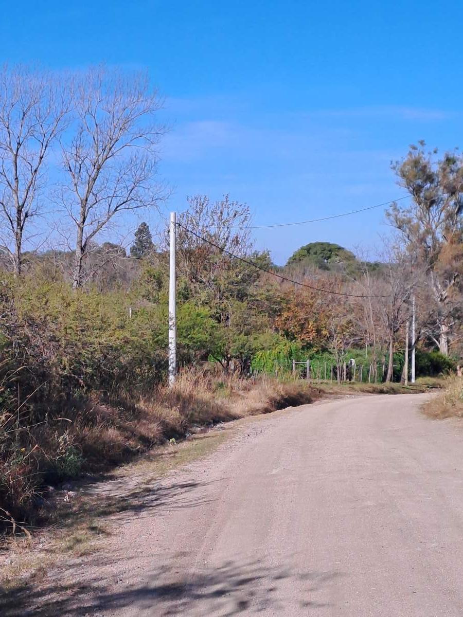 Foto de TERRENO EN VENTA - ASCOCHINGA, LA PAMPA, imagen 5
