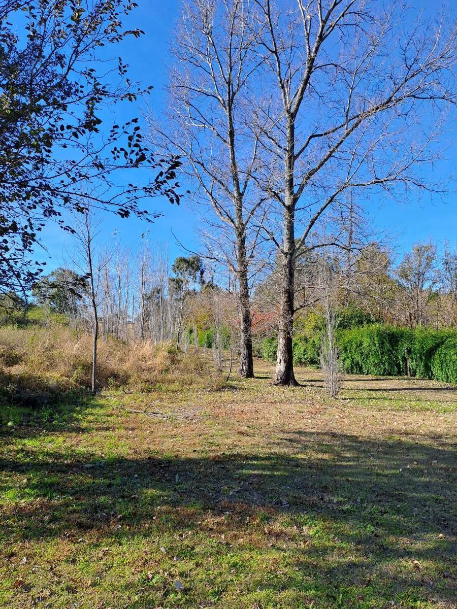Foto de TERRENO EN VENTA - ASCOCHINGA, LA PAMPA, imagen 2