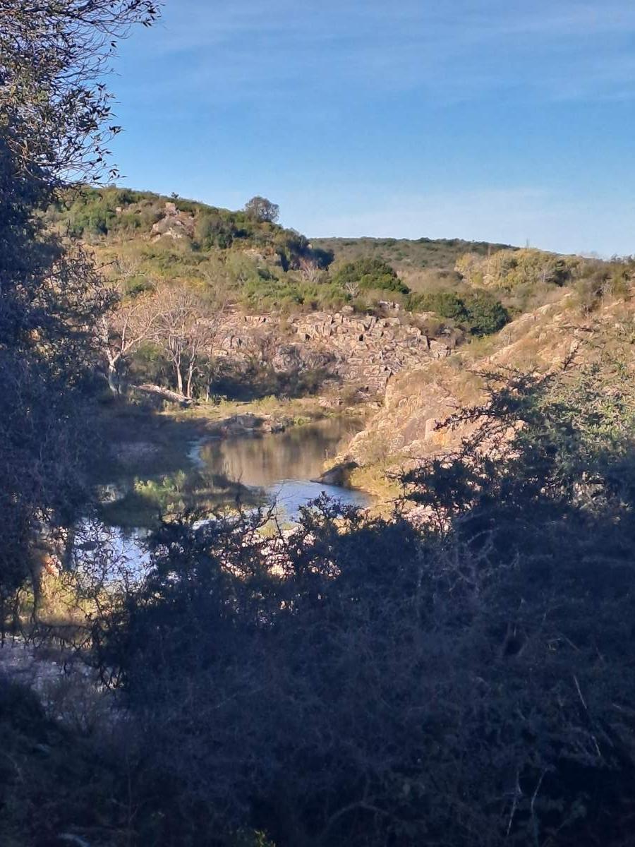 Foto de TERRENO EN VENTA - ASCOCHINGA, LA AGUADA, imagen 5
