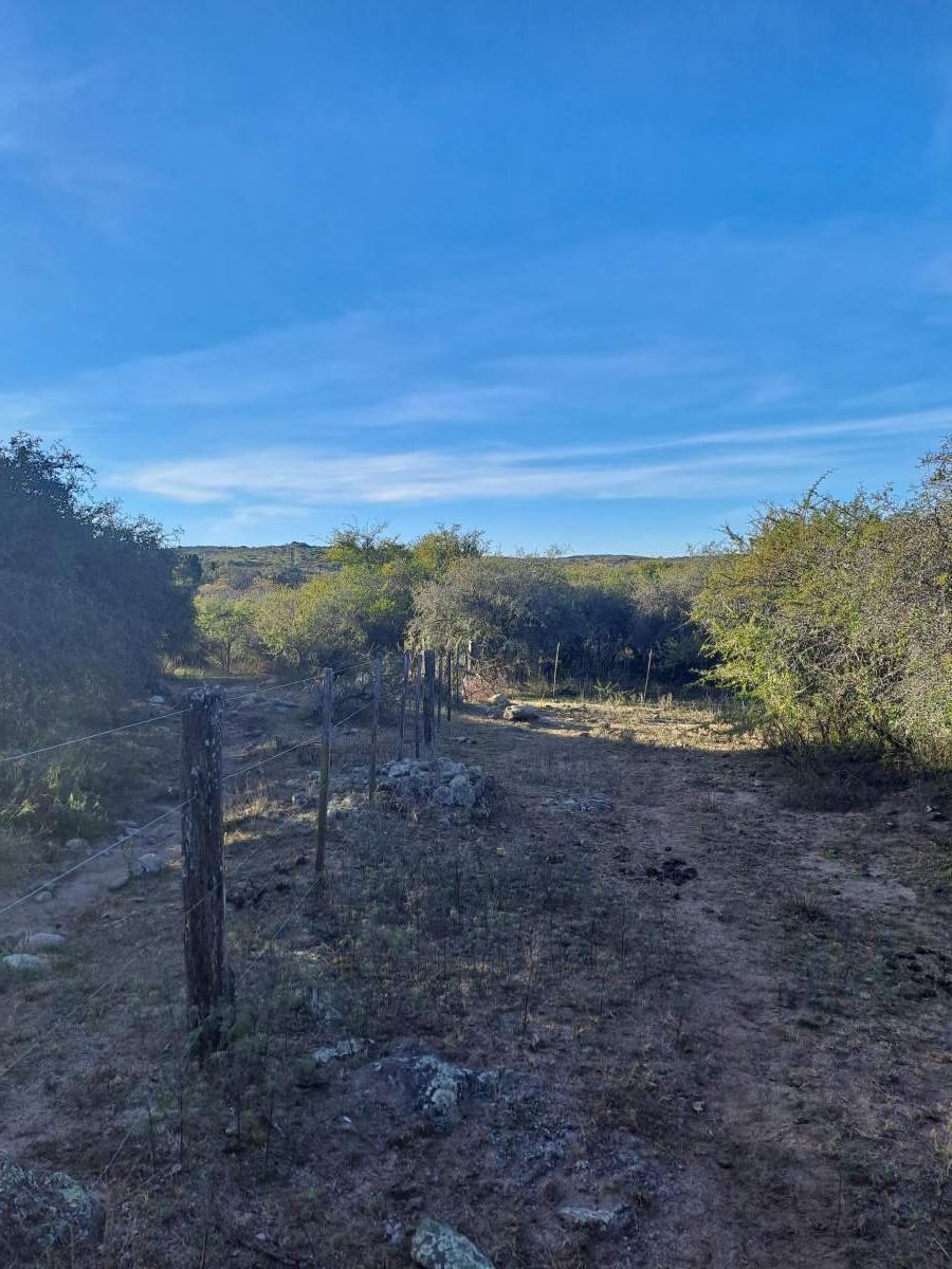 Foto de TERRENO EN VENTA - ASCOCHINGA, LA AGUADA, imagen 1