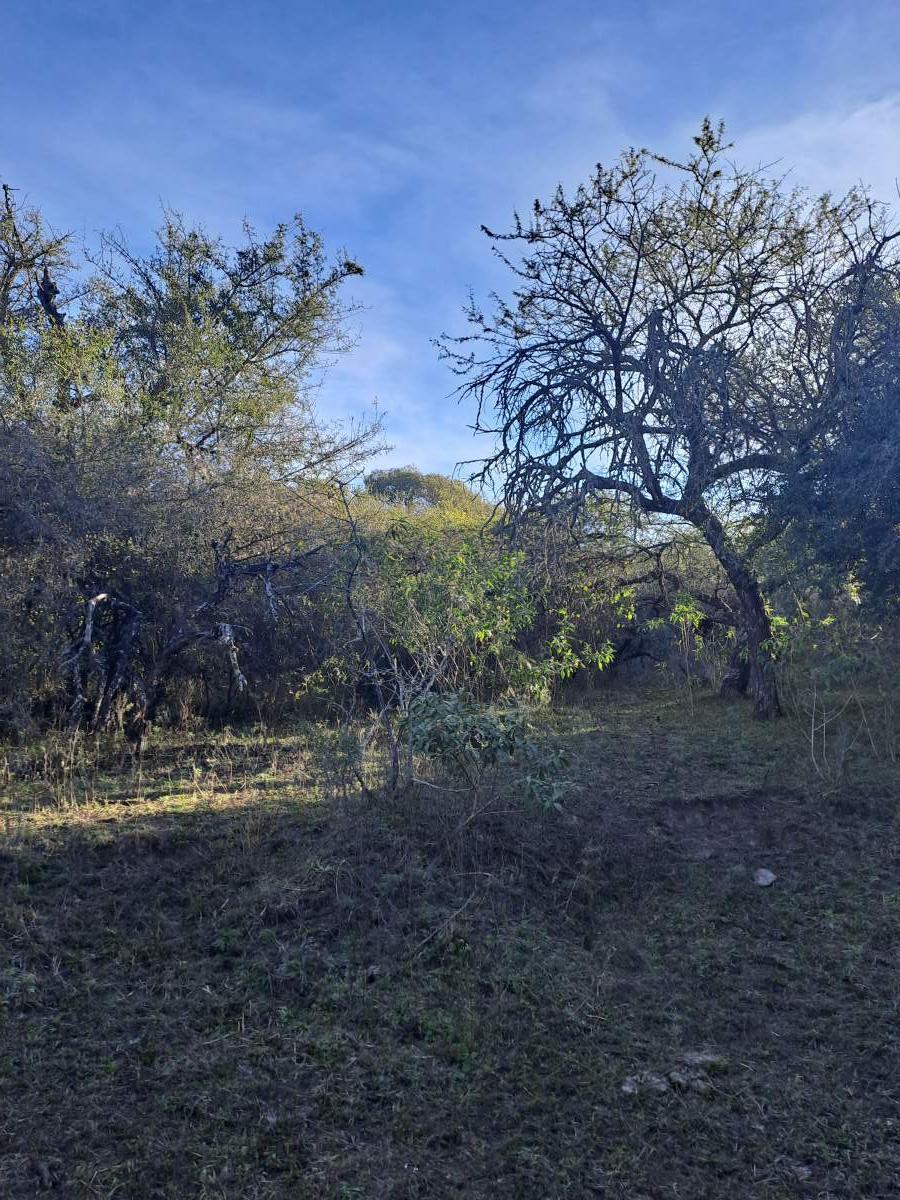 Foto de TERRENO EN VENTA - ASCOCHINGA, LA AGUADA, imagen 1