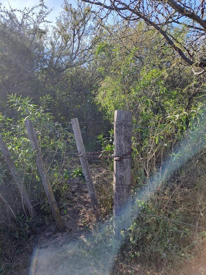 Foto de TERRENO EN VENTA - ASCOCHINGA, LA PAMPA, imagen 2