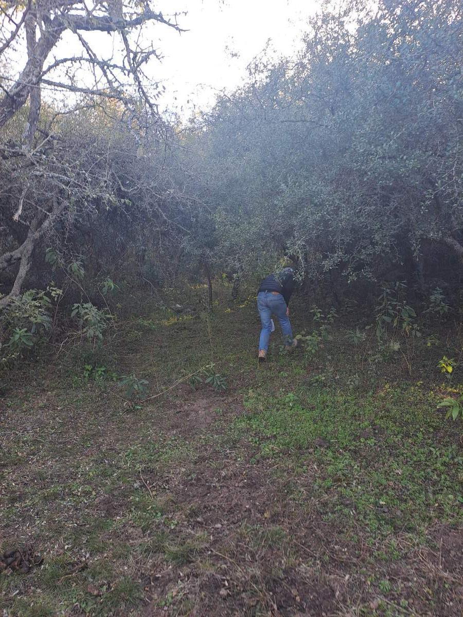 Foto de VENTA TERRENO - ASCOCHINGA, LA AGUADA, imagen 5