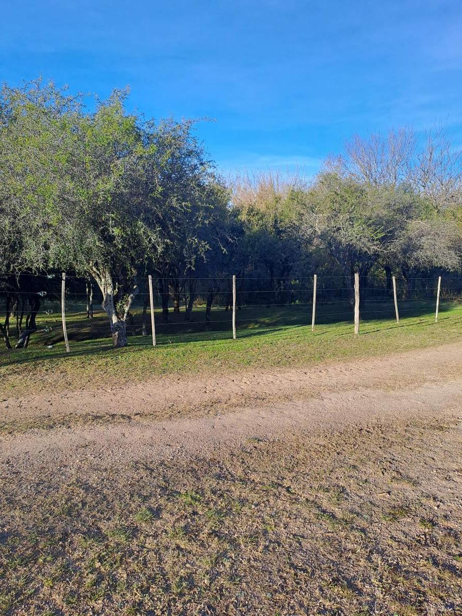 Foto de VENTA TERRENO - ASCOCHINGA, LA AGUADA, imagen 1