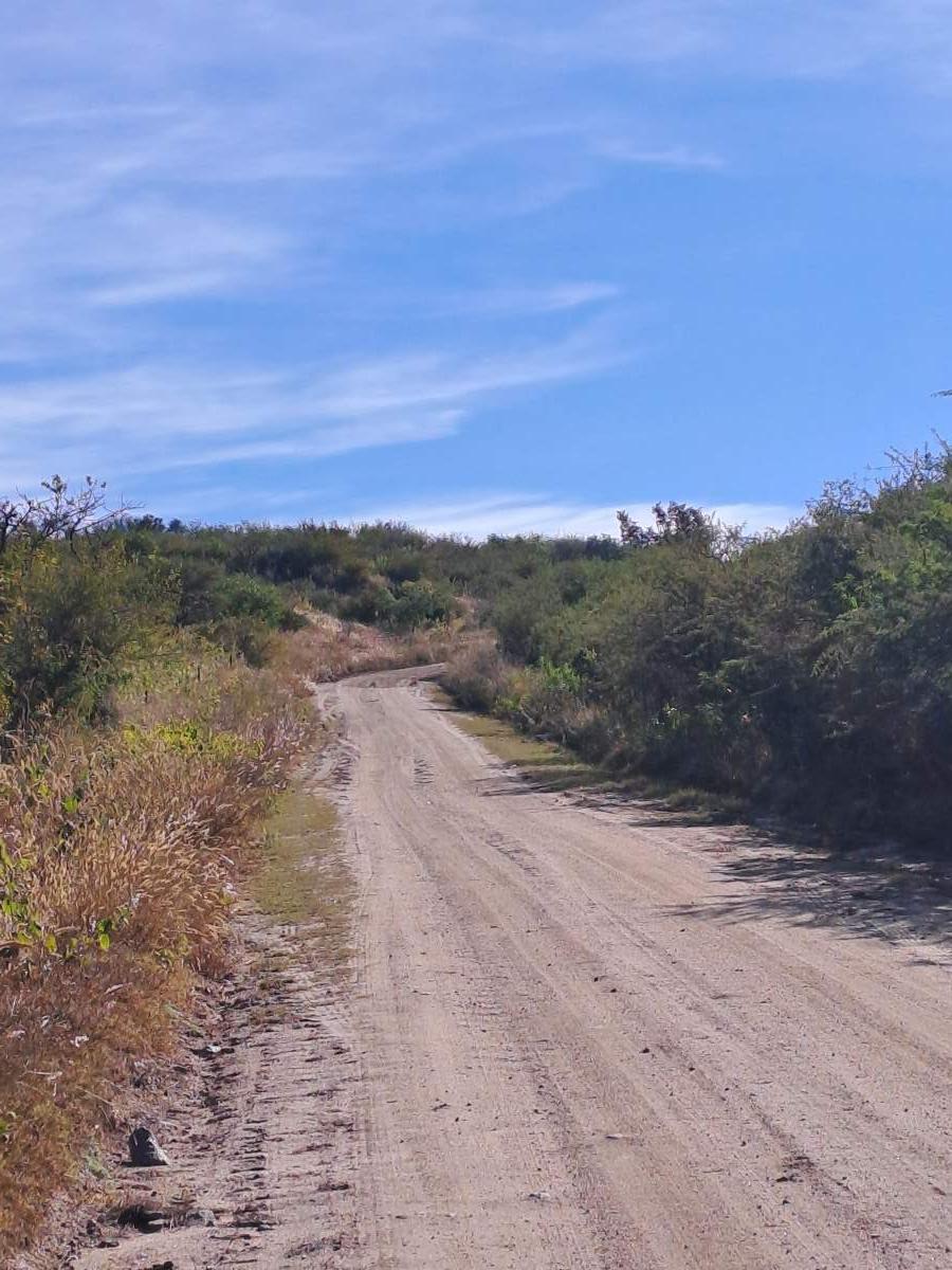 Foto de TERRENO EN VENTA - ASCOCHINGA, LA PAMPA, imagen 2