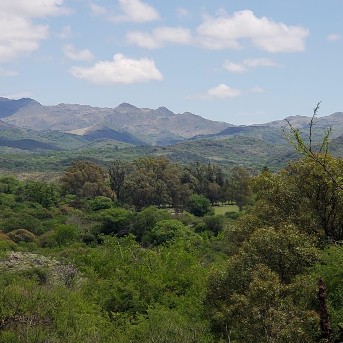 Foto de TERRENO EN VENTA - ASCOCHINGA, LA PAMPA, imagen 3