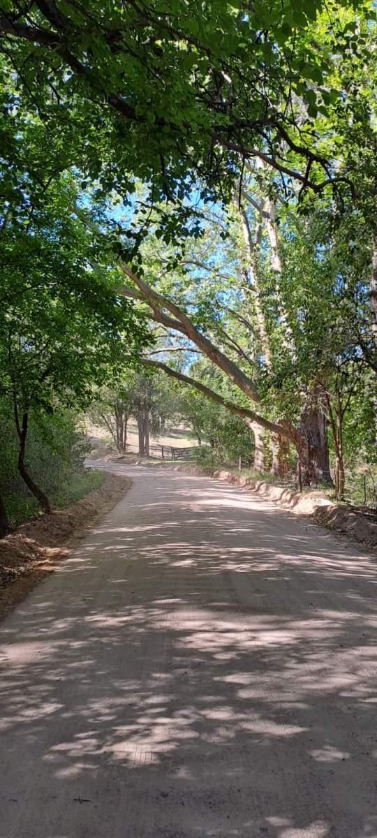 Foto de TERRENOP EN VENTA ASCOCHINGA LA PAMPA CORDOBA, imagen 3