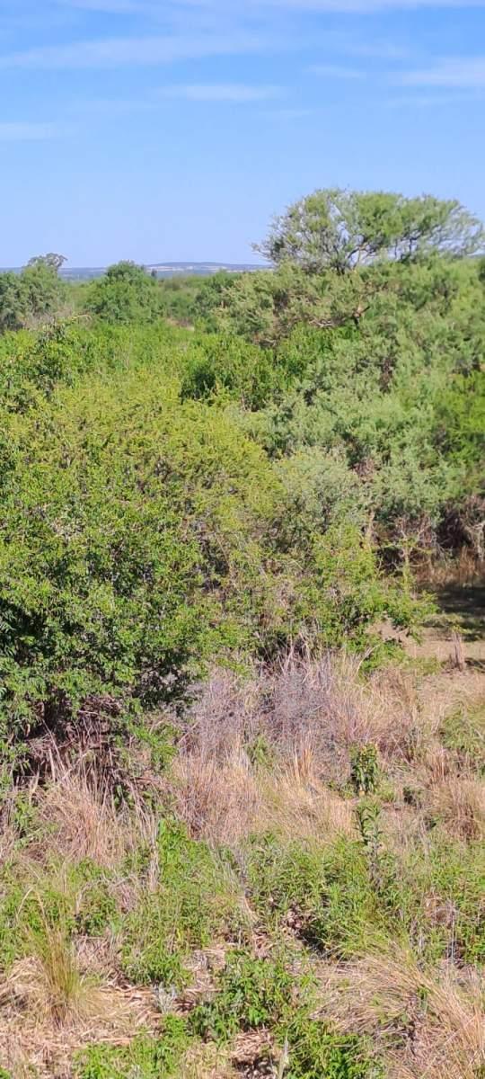 TERRENOP EN VENTA ASCOCHINGA LA PAMPA CORDOBA