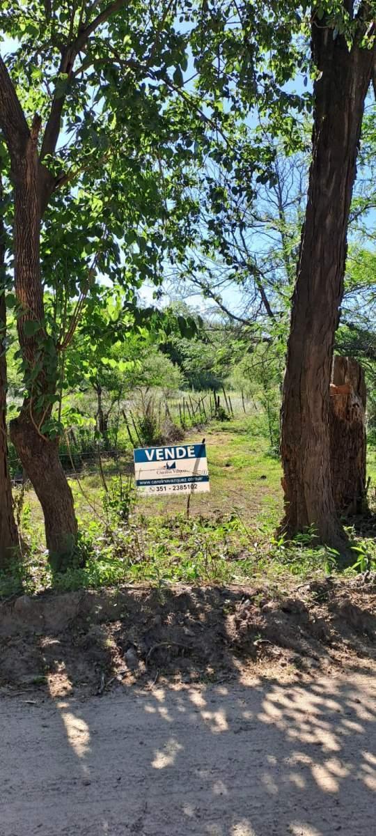 Foto de TERRENOP EN VENTA ASCOCHINGA LA PAMPA CORDOBA, imagen 2