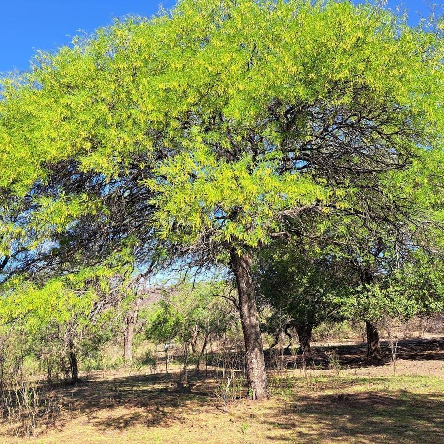 Terreno en Venta Unquillo 5