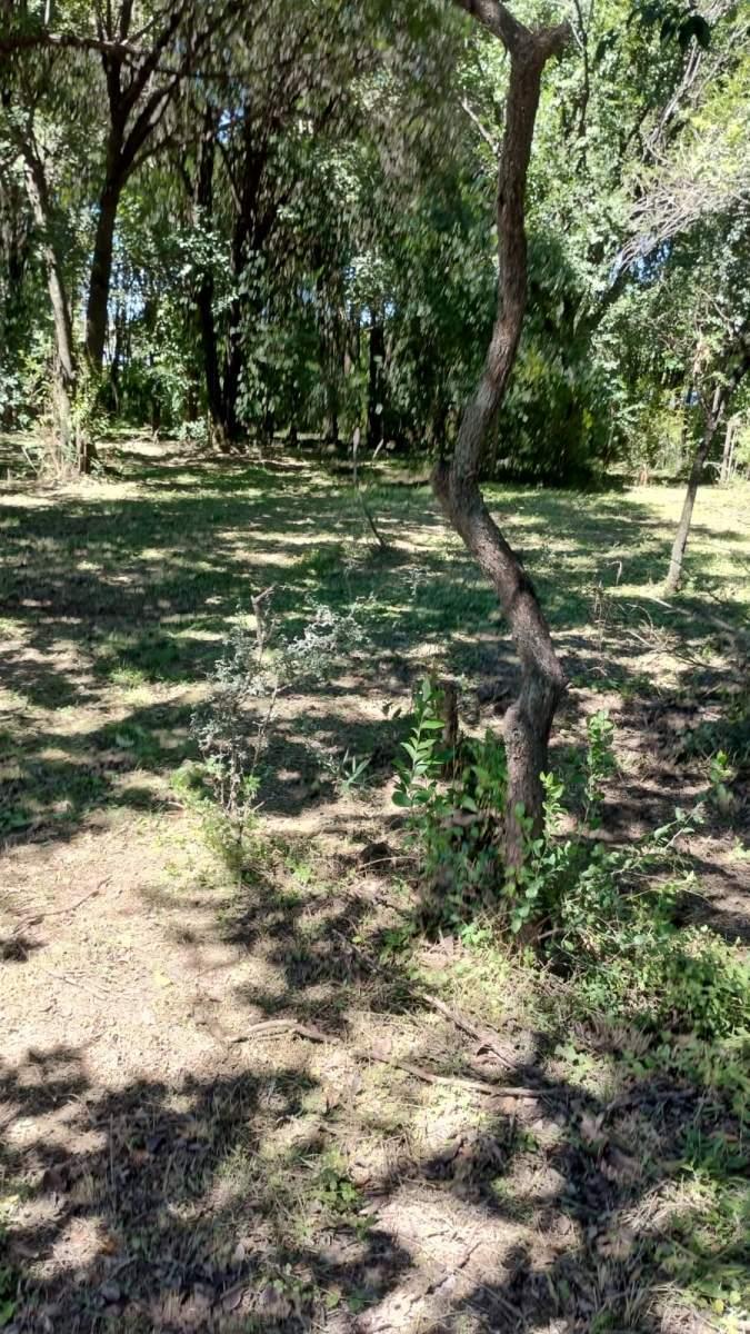 Venta Lote en Unquillo de 1377, Mt. Apto 3 PH con Luz y Agua, Hermosa Arboleda y Facil Acceso a La 3
